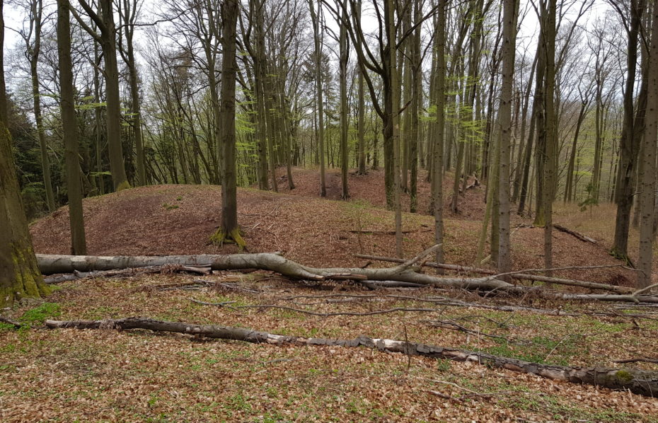 Zaniklý hrádek Mokřice