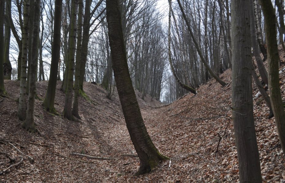 České Lhotice