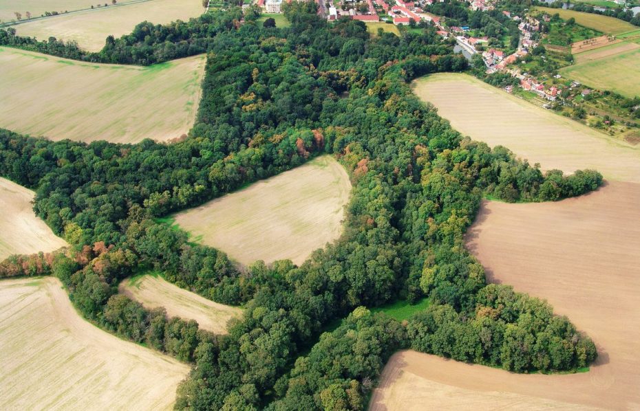 Hradiště Vinoř