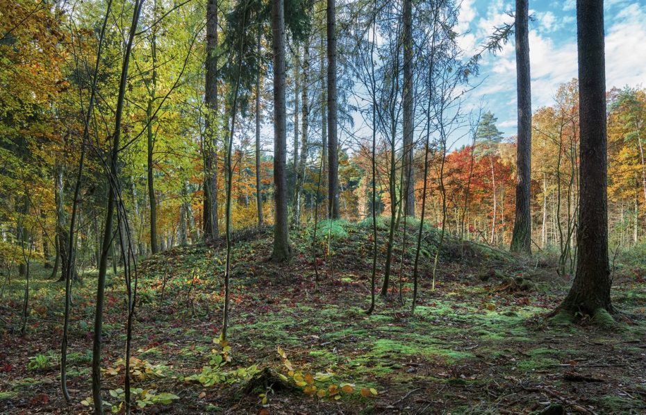 Mohylové pohřebiště Velká Dobrá