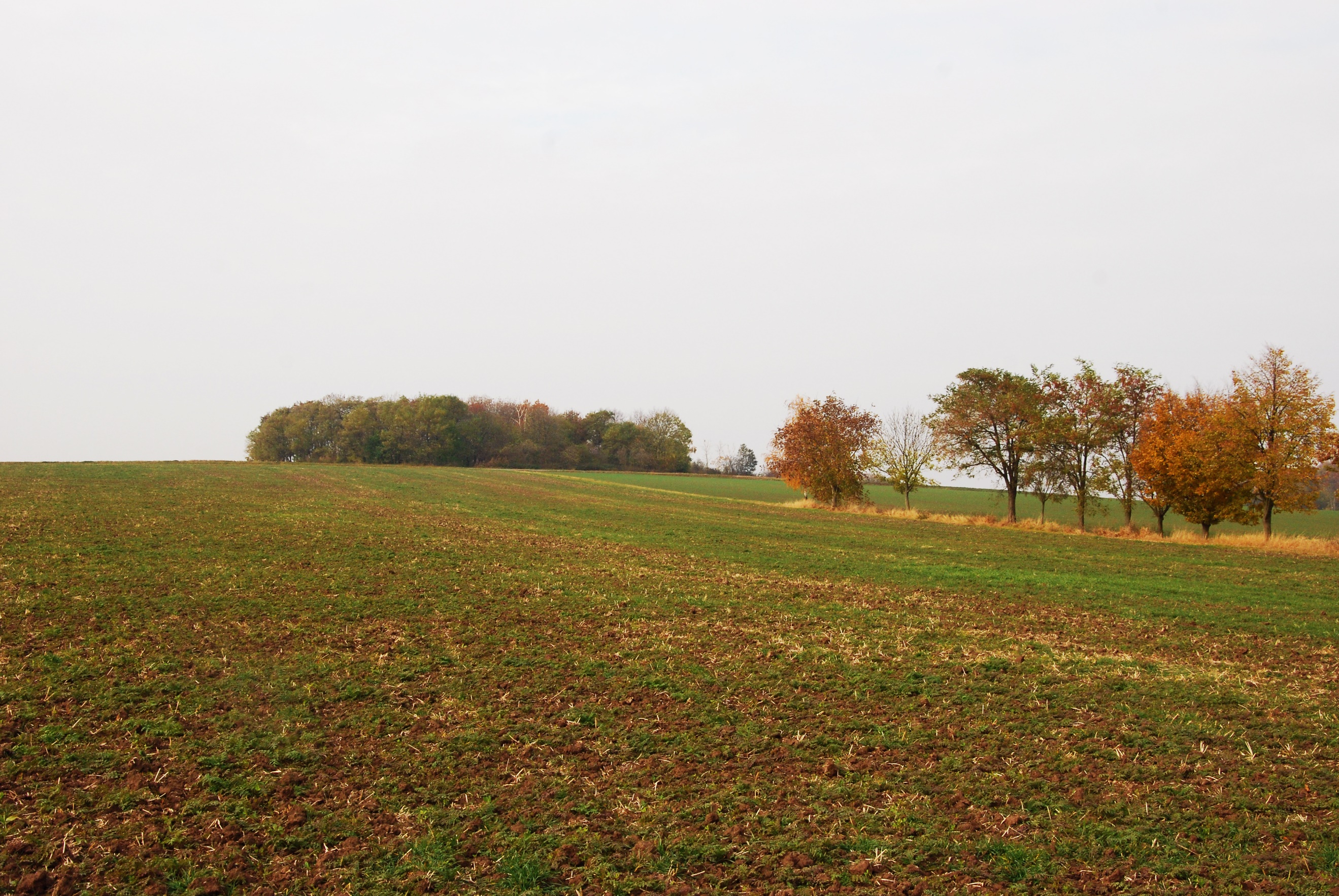 Zlatý kopec u Přezletic Archeologické léto