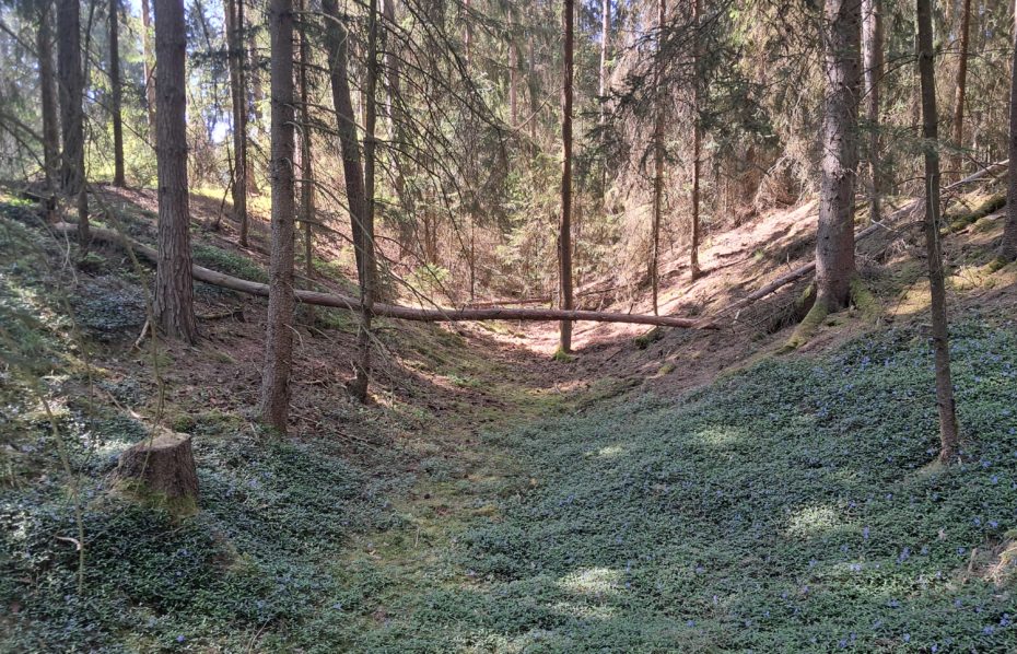 Krchleby: pravěké hradiště Holubí hlava a pozůstatky středověkého hradu Lacembok