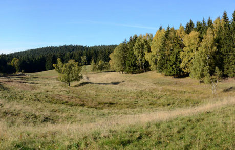 Zaniklé hornické město Lauterbach Stadt / Čistá