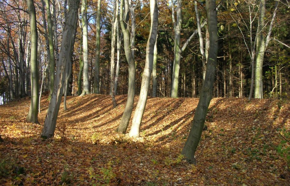 Hradiště Rovina u Domoušic
