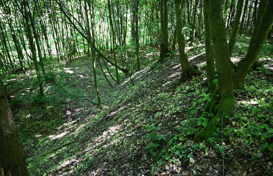 Hradiště a mohylníky v Kostelci u Holešova