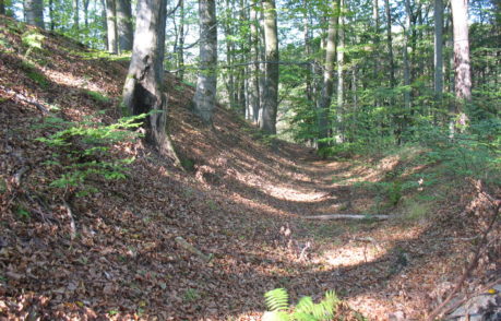 Hradiště Černov