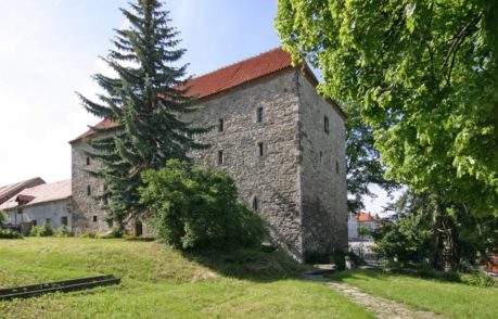 Archeologie tvrze ve Volyni