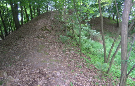 Hrad Bludov