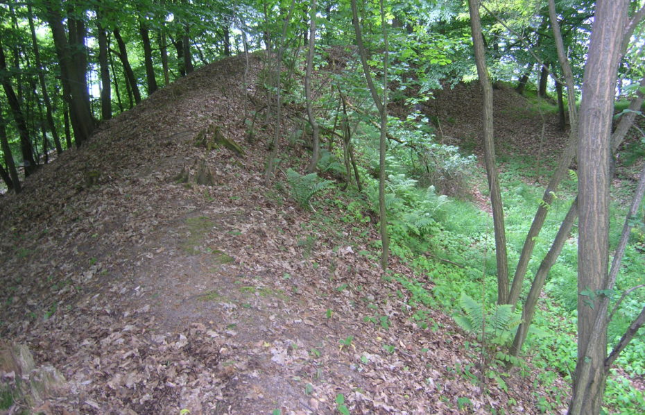 Hrad Bludov