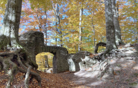 Hrad Rožnov