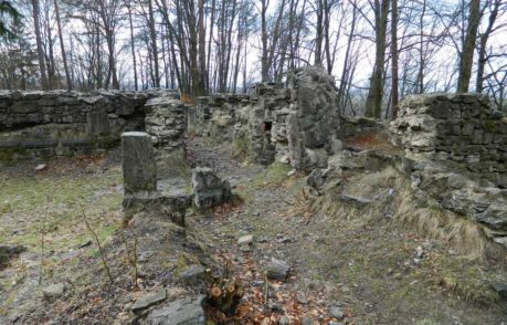 Kartuziánský klášter „Vallis Josaphat“ u Dolan