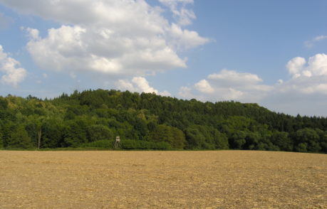 Hradiště Obersko