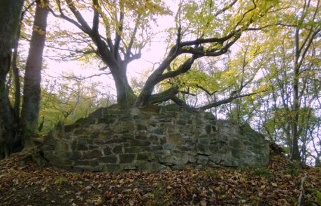 Hrad Zuvačov