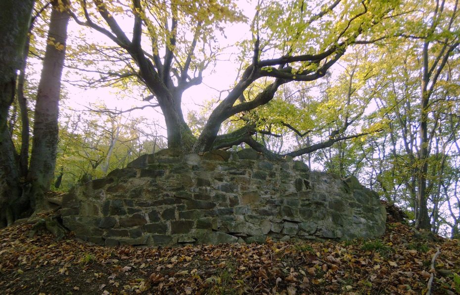 Hrad Zuvačov