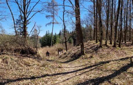 Hrad Gutštejn – Hradiště Bezemín – Hradiště Šipín