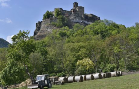 Hrad Střekov